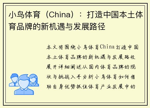 小鸟体育（China）：打造中国本土体育品牌的新机遇与发展路径